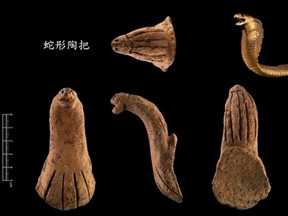 桃園觀音出土眼鏡蛇陶把 清大考古推估為4000年前部族祭器