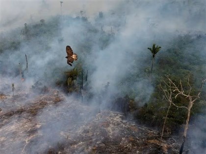 亞馬遜雨林最快2050年達生態系臨界點 恐釋放已儲存二氧化碳