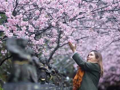 台中以北11縣市低溫特報 3日起回暖、6日冷氣團又到