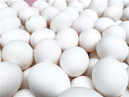 雞蛋買氣不振 7日起批發價降3元