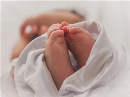 衛福部立院專案報告兒虐案 將聚焦檢討社安網