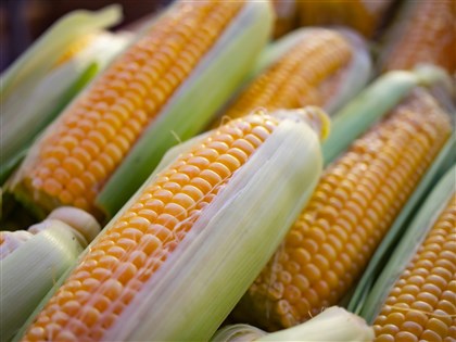 全力穩定物價 政院拍板大宗物資降稅延至6月底