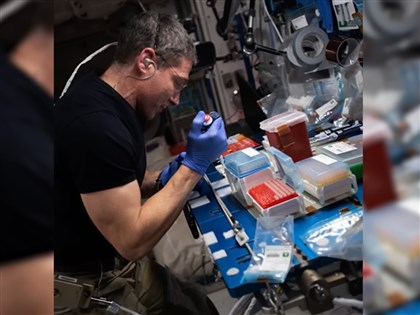 NASA在國際太空站做實驗細胞結構更純粹 可助抗癌藥更有效[影]