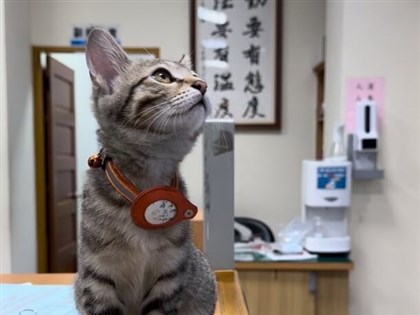  台中翁子派出所喵星人「伍丼么」當班 呆萌吸睛