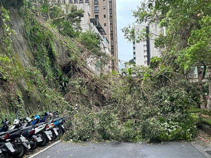 北市降雨吹強風 內湖施工圍籬脫落、路樹傾倒釀1傷