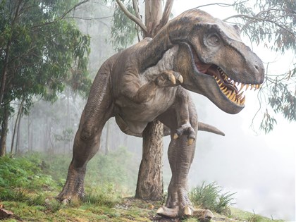 為何恐龍能活躍地球逾億年？研究揭成長快速成演化優勢