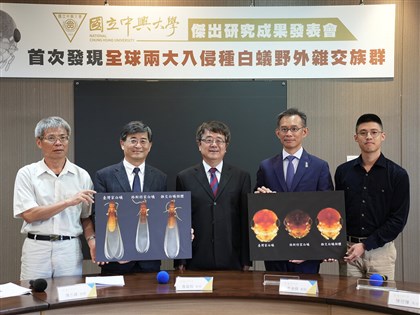 興大研究台灣家白蟻與入侵種可雜交 台中發現混種族群且能繼續繁衍