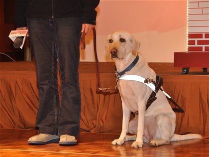 拒絕導盲犬進餐廳 未來恐涉反歧視法須賠償