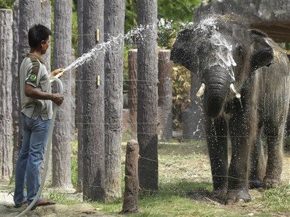賈新興：全球均溫連11個月破紀錄 世紀末增溫1.5度內難達成