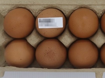 國產雞蛋檢出違規動物用藥 2畜牧場各挨罰3萬