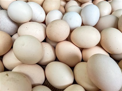 蛋價續降至2年新低 產地價每台斤30.5元