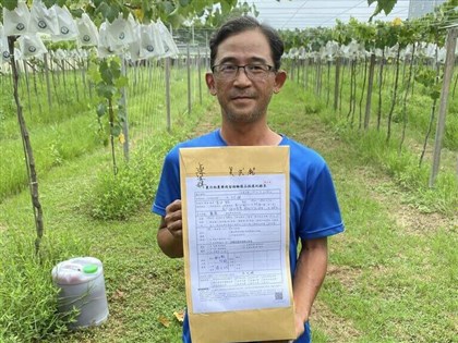 無農藥方式種葡萄護農地 吳武銘盼環境永續發展