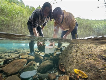 櫻花鉤吻鮭復育突破 魚卵朝高海拔無水運輸