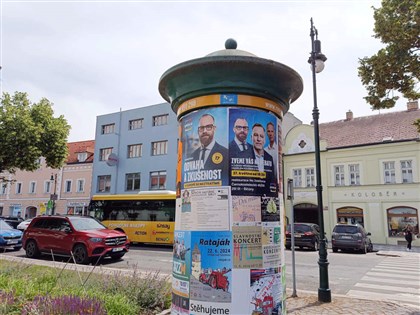 歐洲議會選舉 捷克投票率創新高、反對黨獲最高票