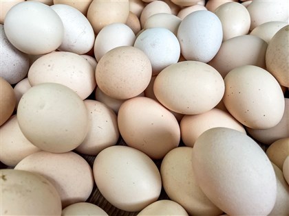 買氣低迷蛋價再降3元 產地每斤27.5元近2年新低