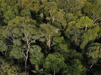 星鏈深入亞馬遜雨林 網路為當地帶來便利卻衍生犯罪問題