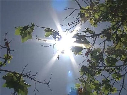 美棒子蘿蔔促減碳 創投：為亞洲供應鏈創造機會