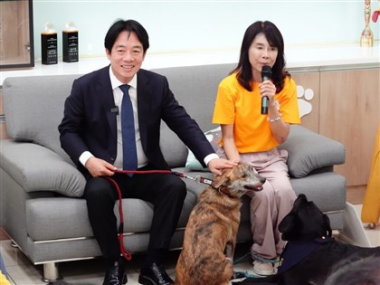 感受到毛孩渴望眼神 賴總統：搬官邸後領養斑斑