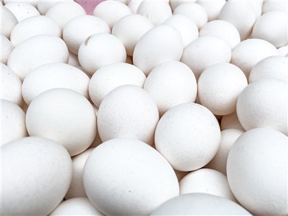 立院經濟委員會11日議程 討論成立進口雞蛋調查小組
