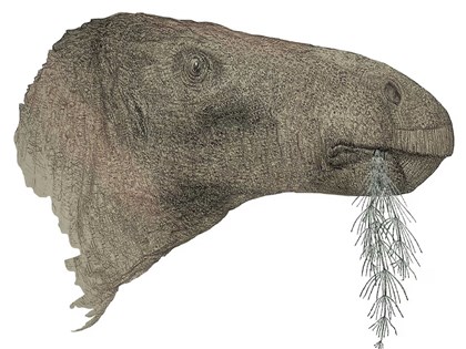 英國懷特島出土恐龍化石百年來最完整 估為1.25億年前草食群聚物種
