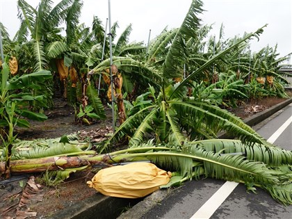 颱風凱米農損攀升至11億元 屏東破3.5億最多