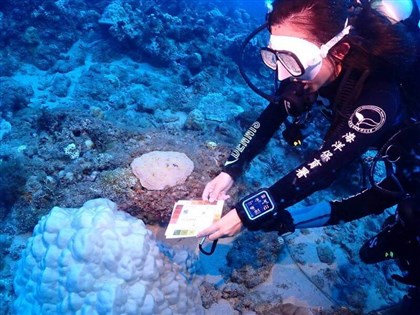 提升珊瑚保育意識 海保署攜手業者推生態永續課