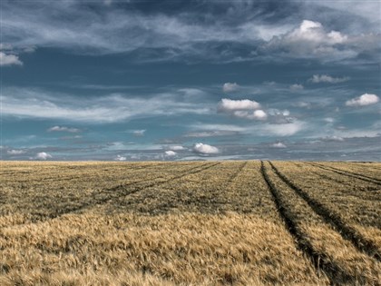 傳土地遭劃定農業發展區不得變更 內政部：不實訊息
