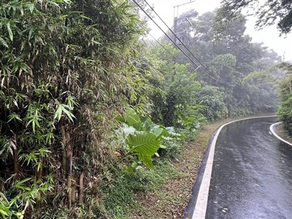 28年前桃園布袋戲偶箱棄屍案偵破 1嫌逾追訴期3嫌已死亡