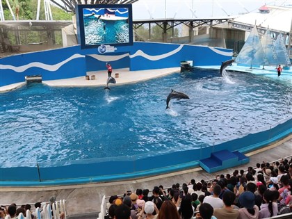 遠雄海洋公園海豚秀1年後落幕 轉型救援教育基地