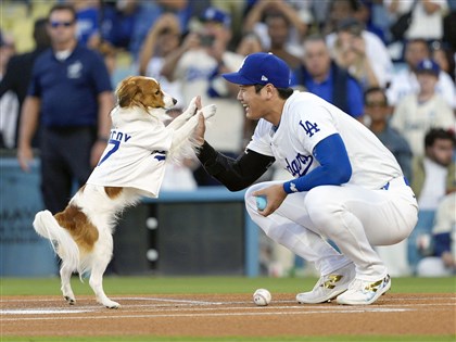 大谷翔平搖頭娃娃日 愛犬「彈額頭」開球獲封最可愛嘉賓[影]