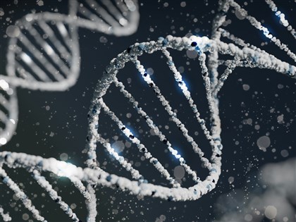 教育程度與基因有關？國衛院分析台韓17萬筆資料解密