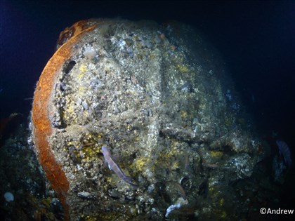 1856年法國蒸氣船肇逃沉沒 美麻州外海發現殘骸