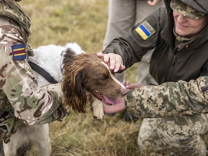 英國協訓烏克蘭軍犬領犬員 助除未爆彈