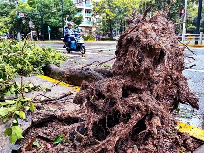 颱風貝碧佳剛走葡萄桑就來 中國多地發布預警