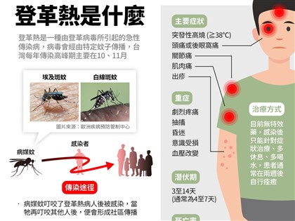 本土登革熱時隔3個月再現蹤 花蓮30多歲男感染源待釐清