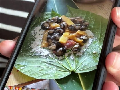 台東3死疑中毒案小米粽食餘驗出農藥托福松	血桐、蝸牛未檢出