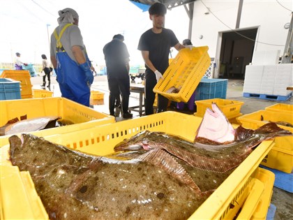 中日達成協議 中國將重啟進口日本水產品