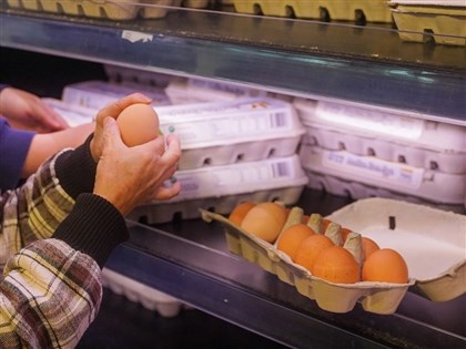 超思與亮采進口雞蛋案 北檢14路搜索、約談9人