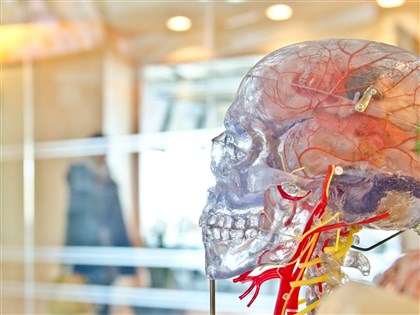 加州通過新法保護腦波數據 防神經科學公司濫用