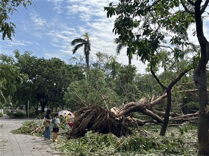 颱風山陀兒釀2死1失蹤696傷 7.7萬戶仍停電預計午夜前搶修完成