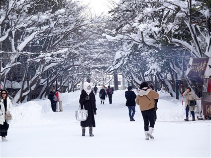 日本北海道去年雪蟲大爆發 專家：今年可能再現