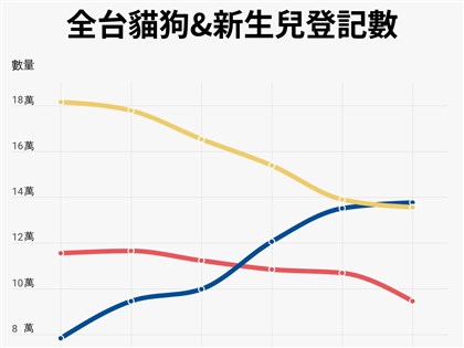 台灣少子化 2023年貓狗登記數高出新生兒近10萬