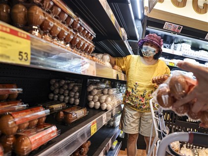 雞蛋價格疲軟 農業部：增加多元通路媒合加工使用