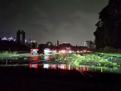 颱風康芮吹倒國道3號土城段邊坡路樹 北向41K暫時封閉