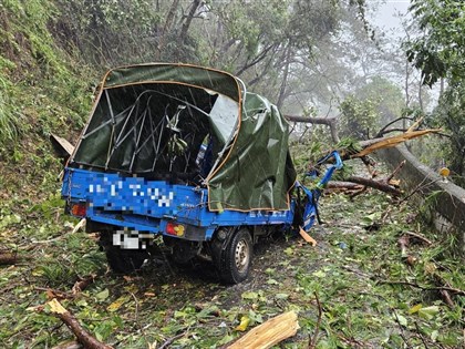 颱風康芮襲台釀1死73傷 南投邊坡樹倒砸小貨車1婦人不治