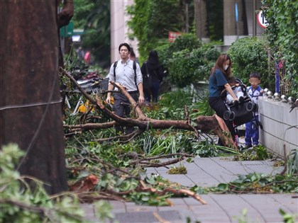颱風康芮襲台釀2死515傷逾84萬戶一度停電 公路災阻路段搶修