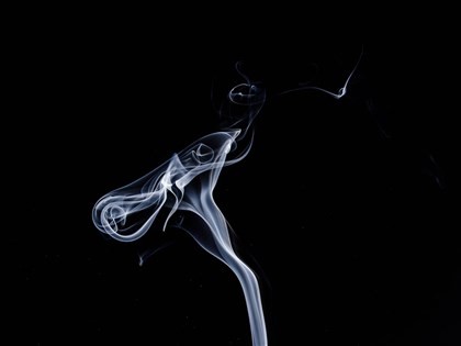 董氏：違法加熱菸氾濫 籲確實取締、追溯來源