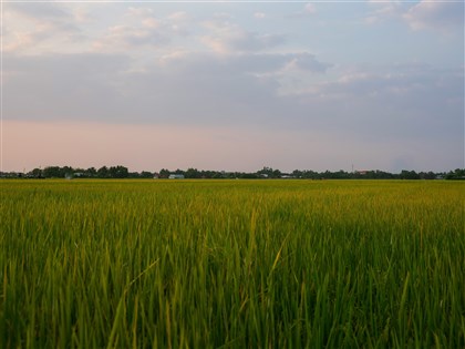 國土法釀種房潮？內政部：丁種建地不會一夕變住宅