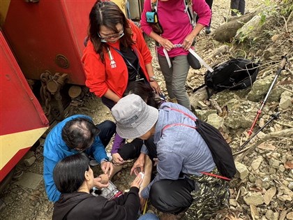 旅行社違法帶團走林鐵遊客遭撞傷 將依法懲處