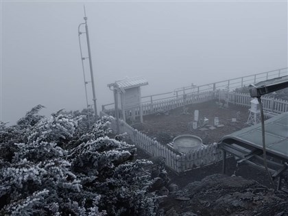 大陸冷氣團來襲 玉山降霜與霧淞[影]